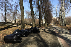 Весенний период работ начался в районе Якиманка